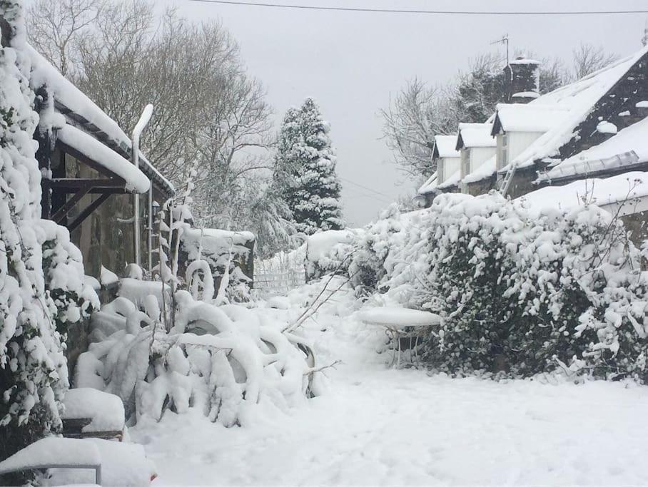 Y Cwtch - Panoramic Mountain Views Within Snowdonia'S National Park - 4X4 Recommended Villa Dolgellau Eksteriør bilde