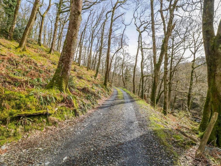 Y Cwtch - Panoramic Mountain Views Within Snowdonia'S National Park - 4X4 Recommended Villa Dolgellau Eksteriør bilde