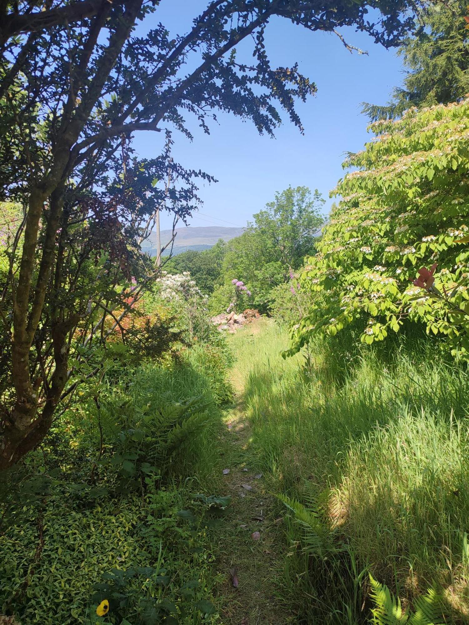 Y Cwtch - Panoramic Mountain Views Within Snowdonia'S National Park - 4X4 Recommended Villa Dolgellau Eksteriør bilde