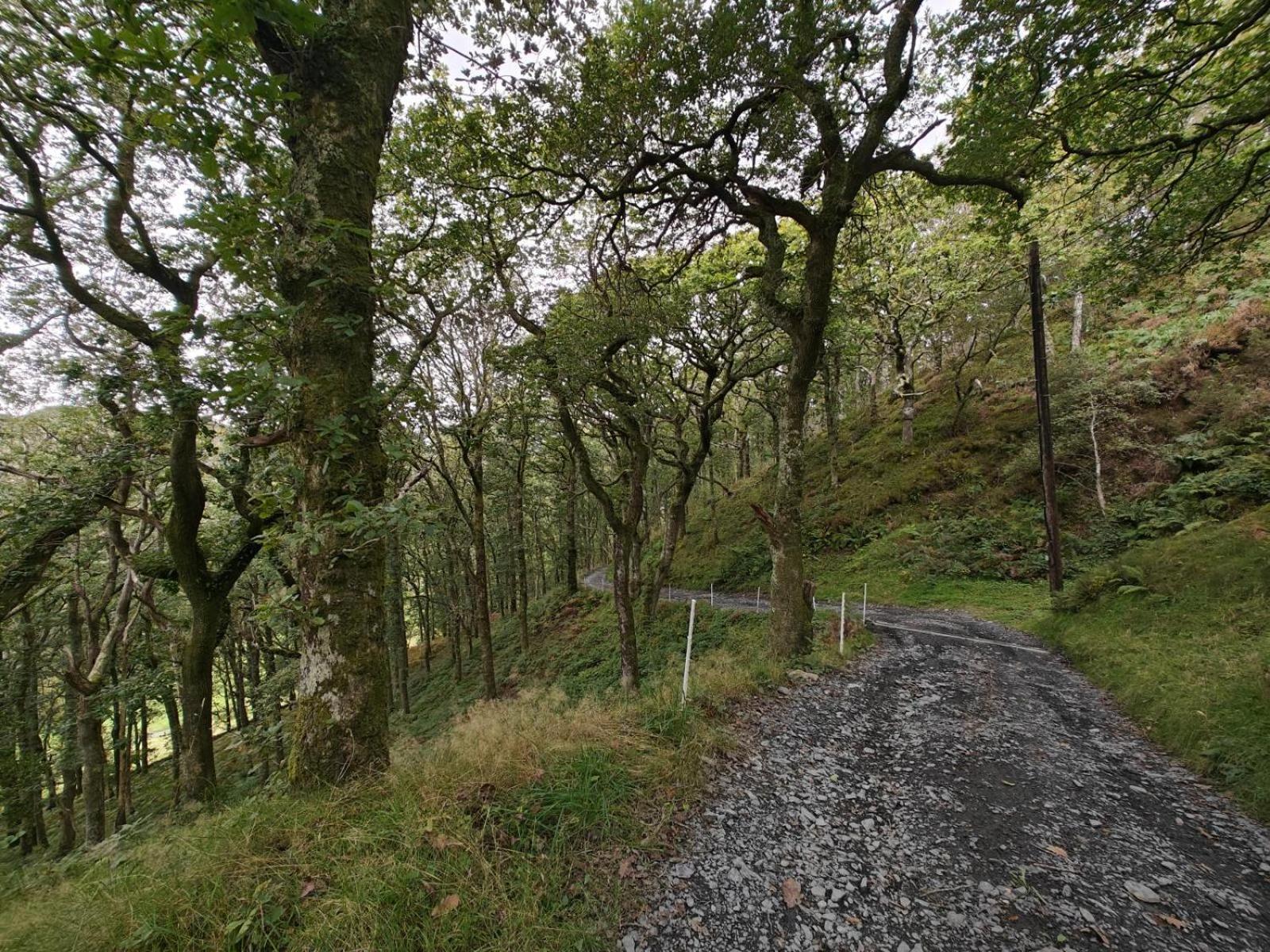 Y Cwtch - Panoramic Mountain Views Within Snowdonia'S National Park - 4X4 Recommended Villa Dolgellau Eksteriør bilde